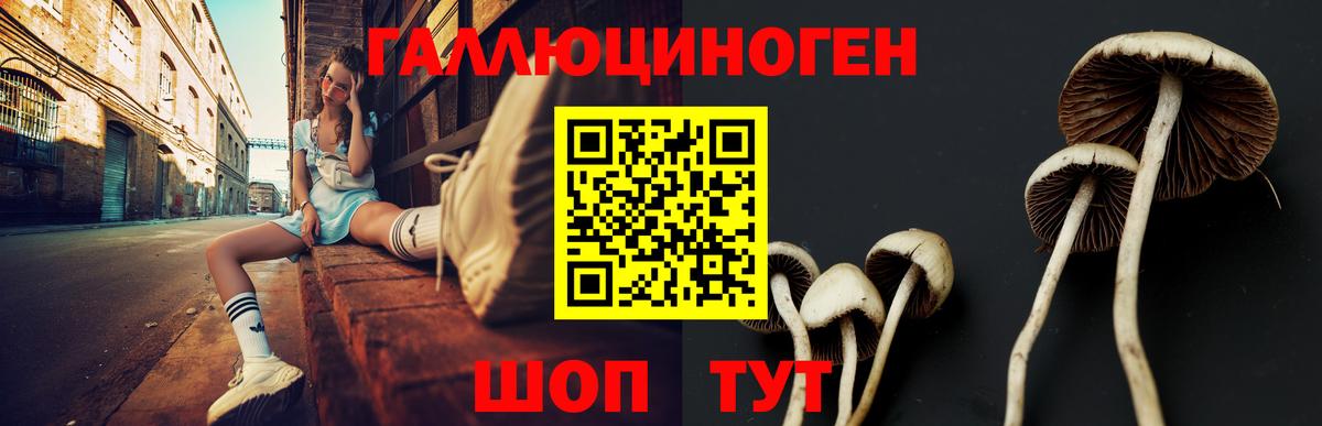 Галлюциногенные грибы Psilocybine cubensis  Вход с VPN  Псилоцибиновые грибы Psilocybine cubensis  Джанкой 
